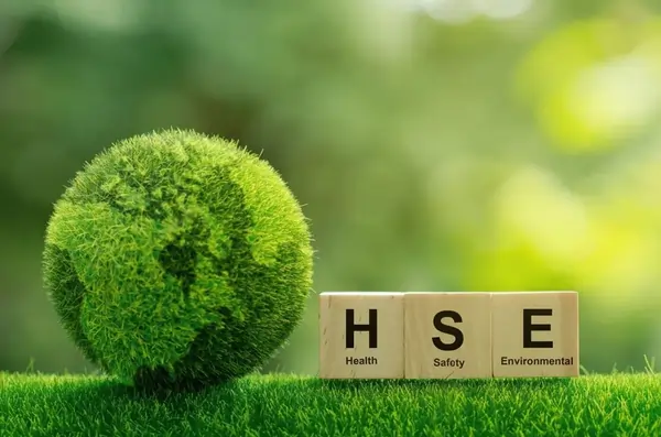 Occupational Health and Safety Reports and Inspection Systems